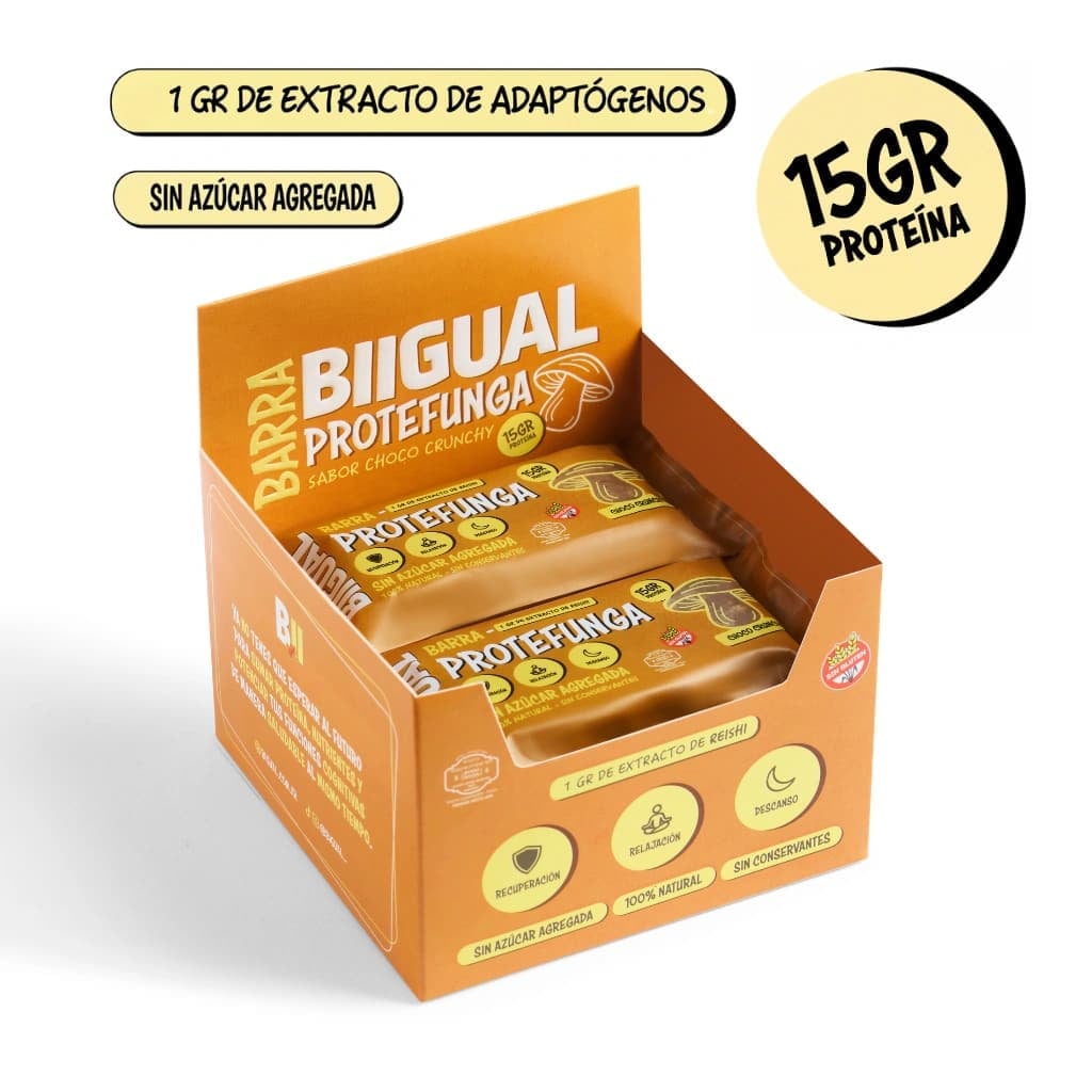 Barra Proteica con Reishi Sabor Choco (15g Proteína) - BIGUAL – Barritas saludables