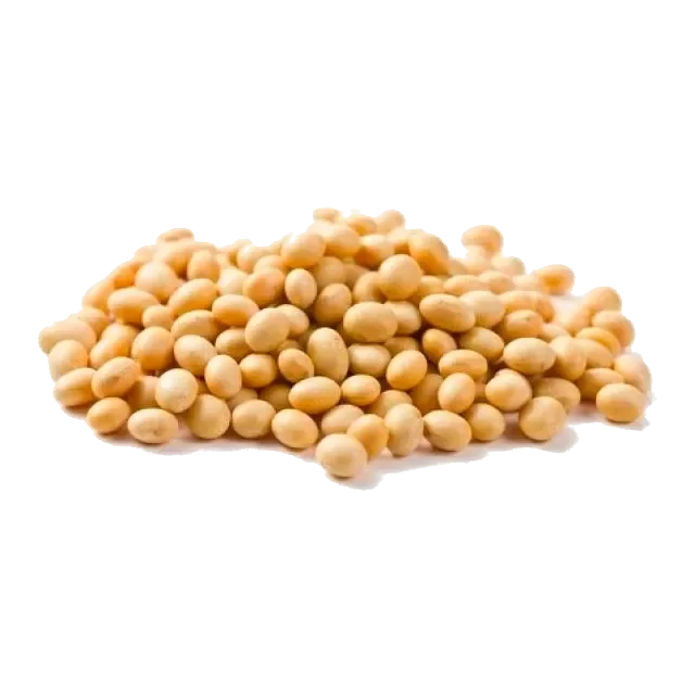 Porotos de Soja – Legumbres