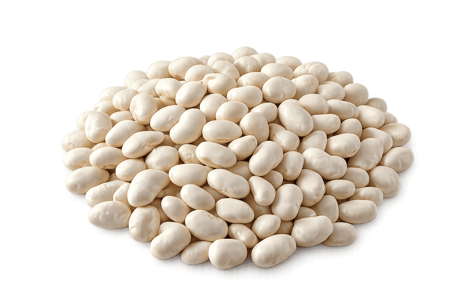 Porotos Pallar – Legumbres