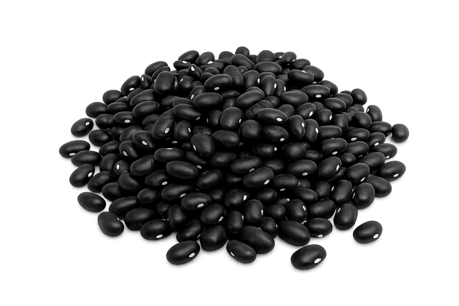 Porotos Negro – Legumbres